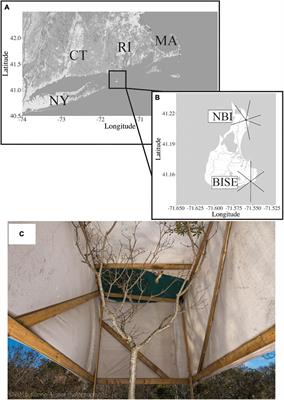 Fat Stores and Antioxidant Capacity Affect Stopover Decisions in Three of Four Species of Migratory Passerines With Different Migration Strategies: An Experimental Approach